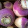 navet turnip